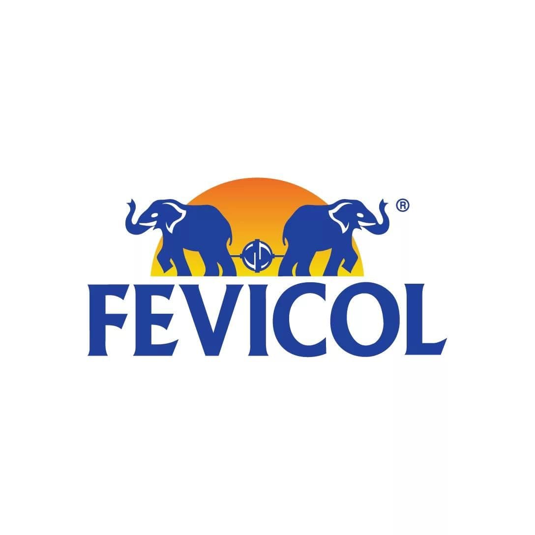 Fevicol by Pidilite